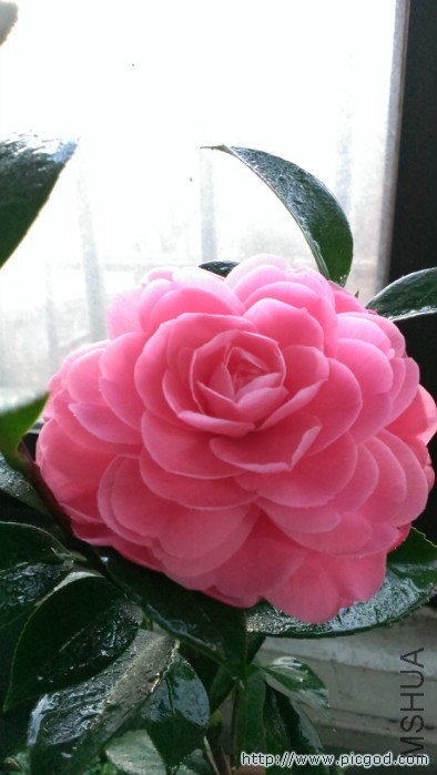 IMAG0494.jpg