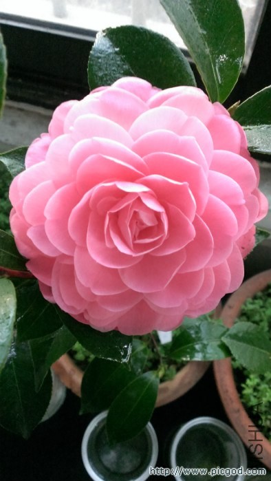 IMAG0495.jpg