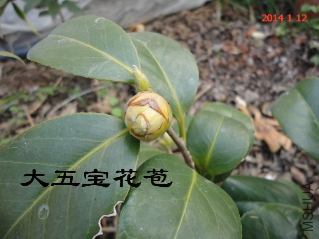 DSC04416_����.jpg