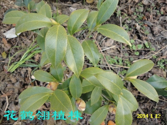 DSC04422_����.jpg