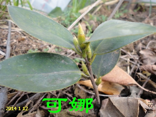 DSC04428_����.jpg