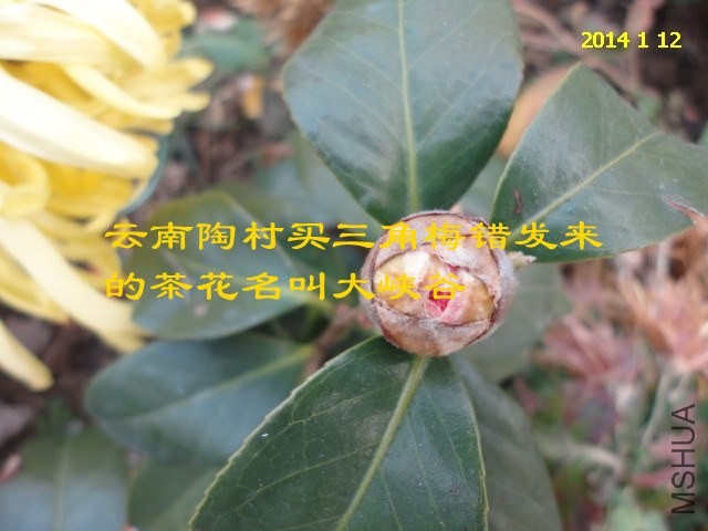 DSC04443_����.jpg