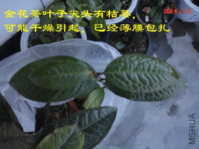 DSC04456_����.jpg