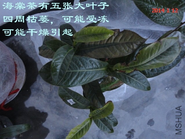 DSC04454_����.jpg