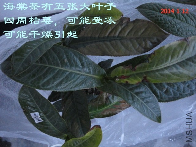 DSC04453_����.jpg