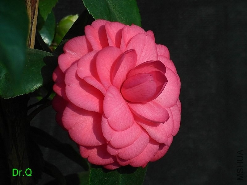 1.�t����-2.JPG