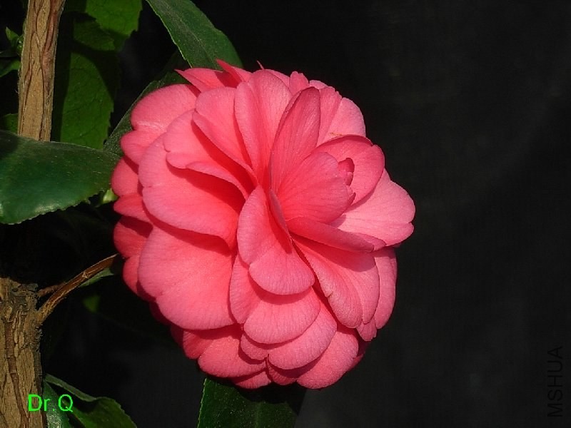 1.�t����-3.JPG
