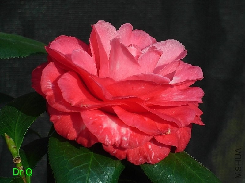 2-����ؐ��-3.JPG