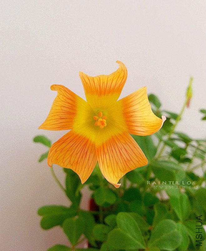20140115_102929.jpg