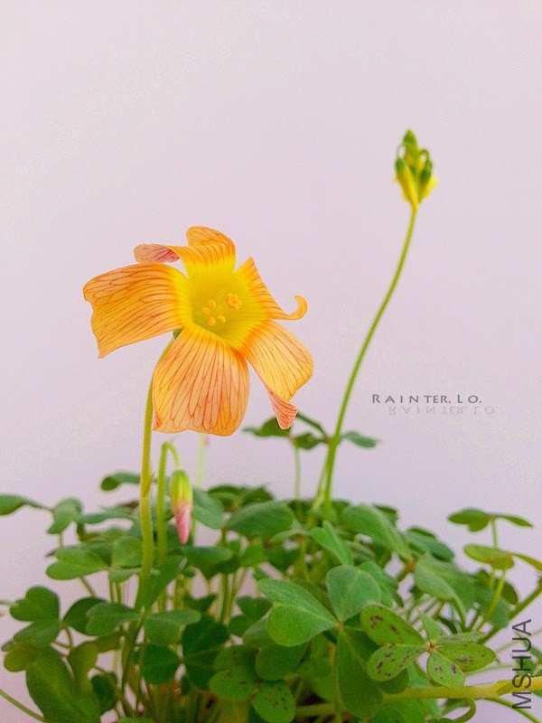 20140115_103116.jpg