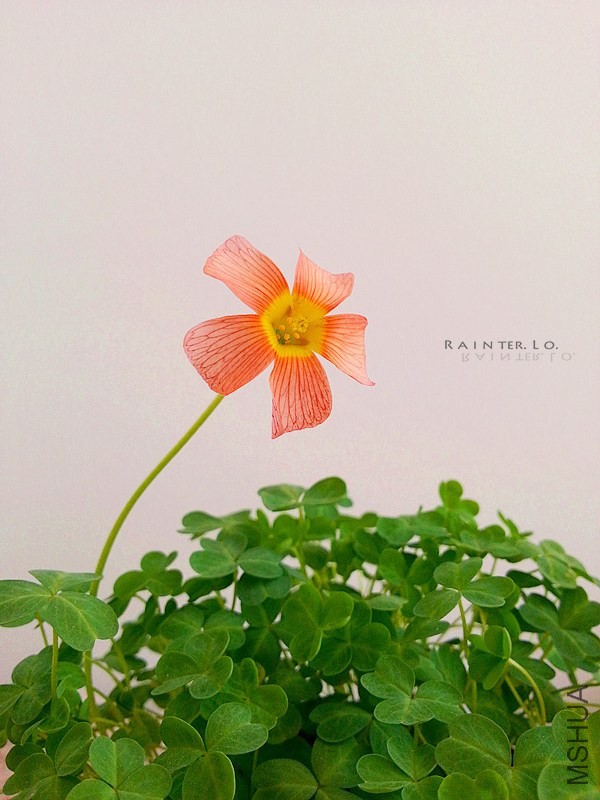 20140115_110403.jpg