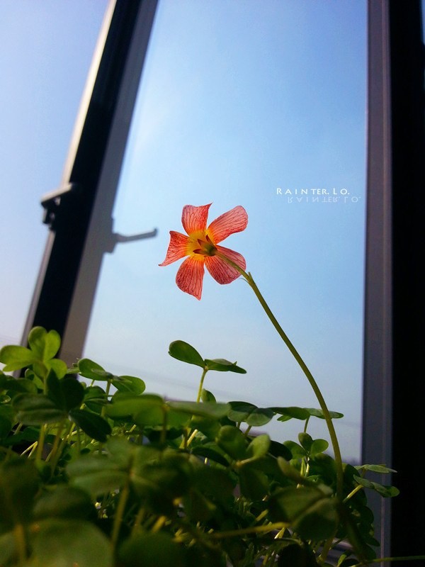 20140115_110658.jpg