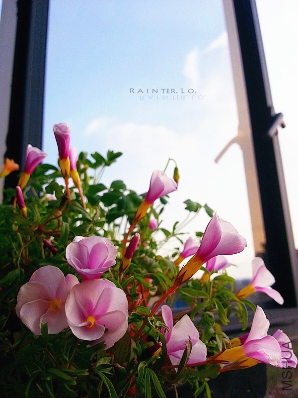 20140114_144307.jpg