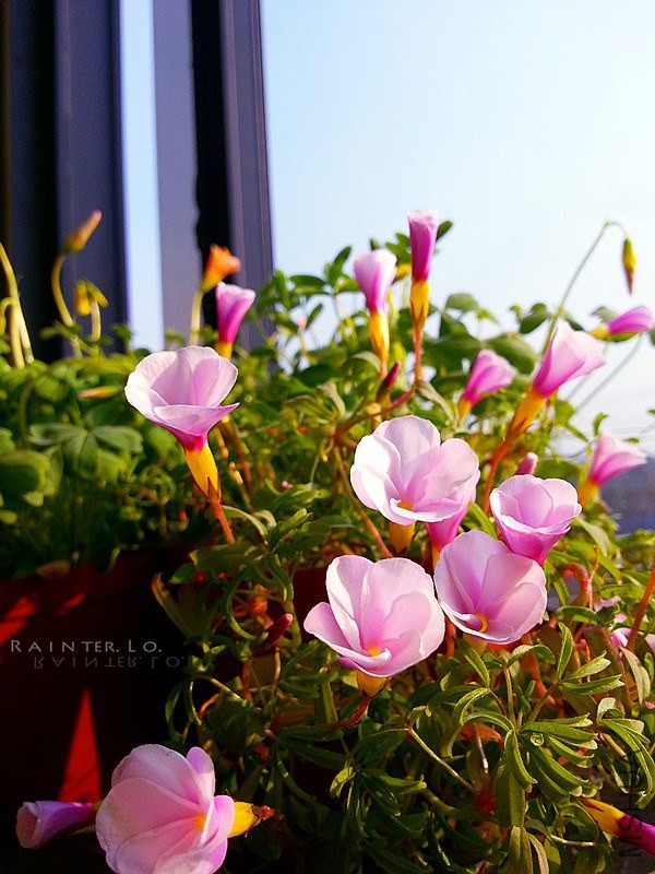 20140114_145458.jpg