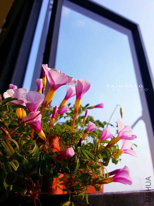 20140114_145632.jpg