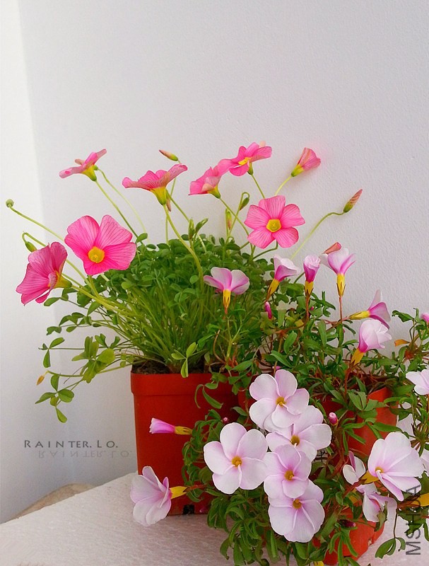 20140114_130243.jpg