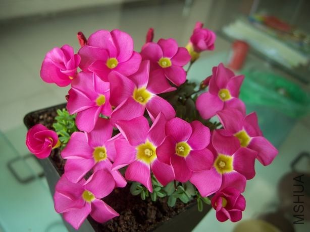 100_4489.JPG