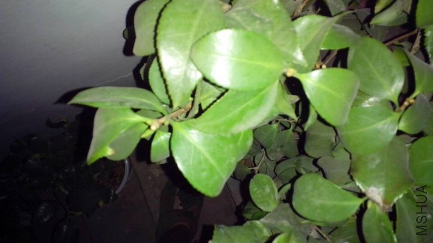 QQͼƬ20140115220441.jpg