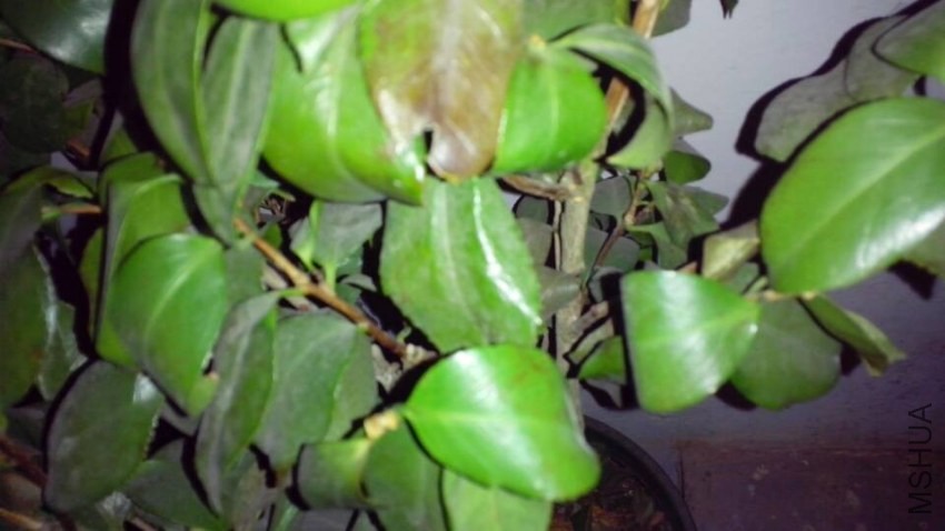 QQͼƬ20140115220453.jpg