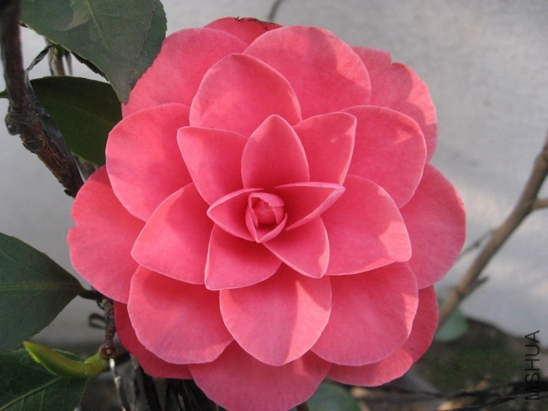 QQͼƬ20140116075135_conew1.jpg