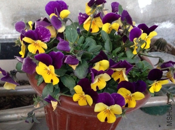 QQͼƬ20140116083225.jpg
