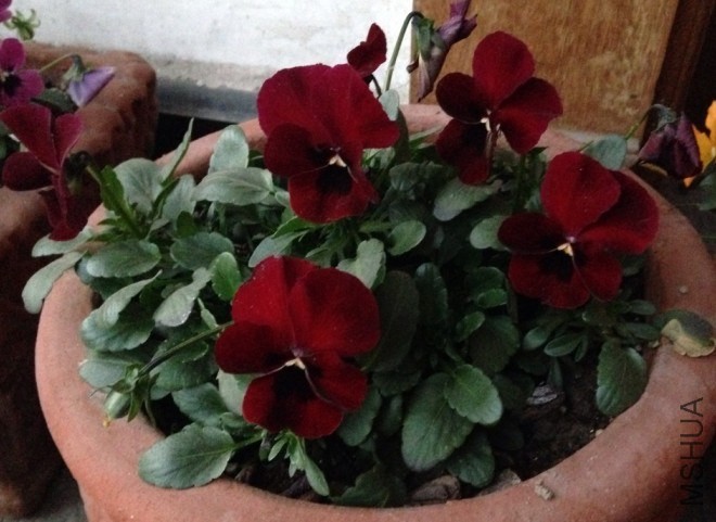 QQͼƬ20140116083357.jpg