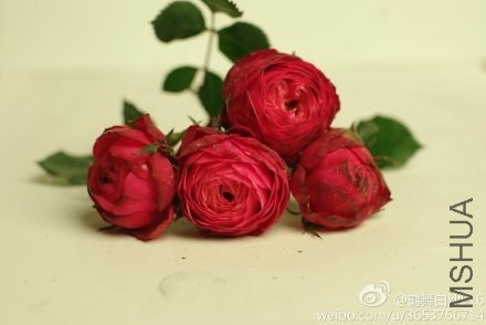 d9c7e72agw1ecl4be411qj21kw122wkq.jpg