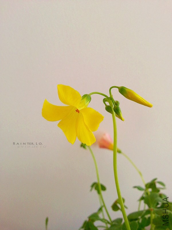20140116_111425.jpg