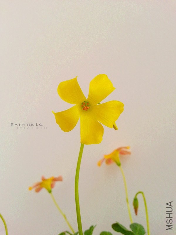 20140116_113259.jpg