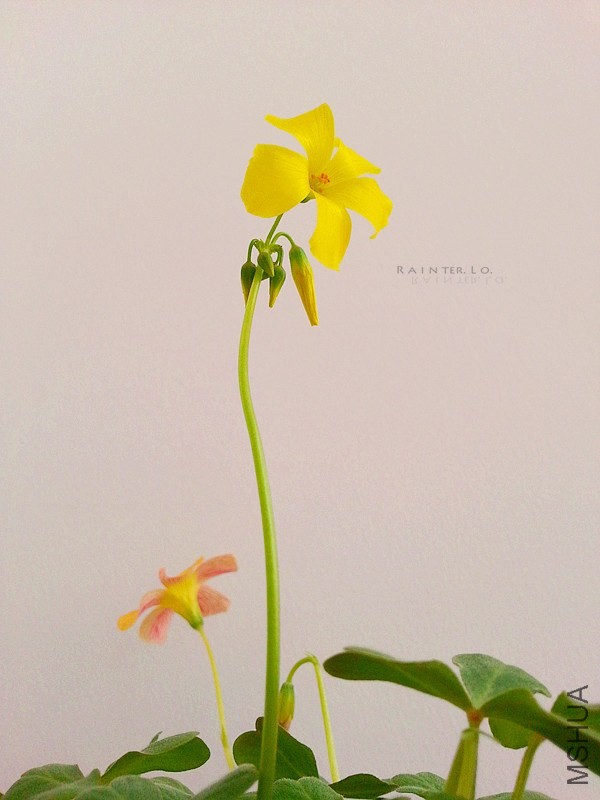 20140116_113328.jpg