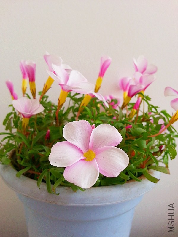 20140116_115239.jpg