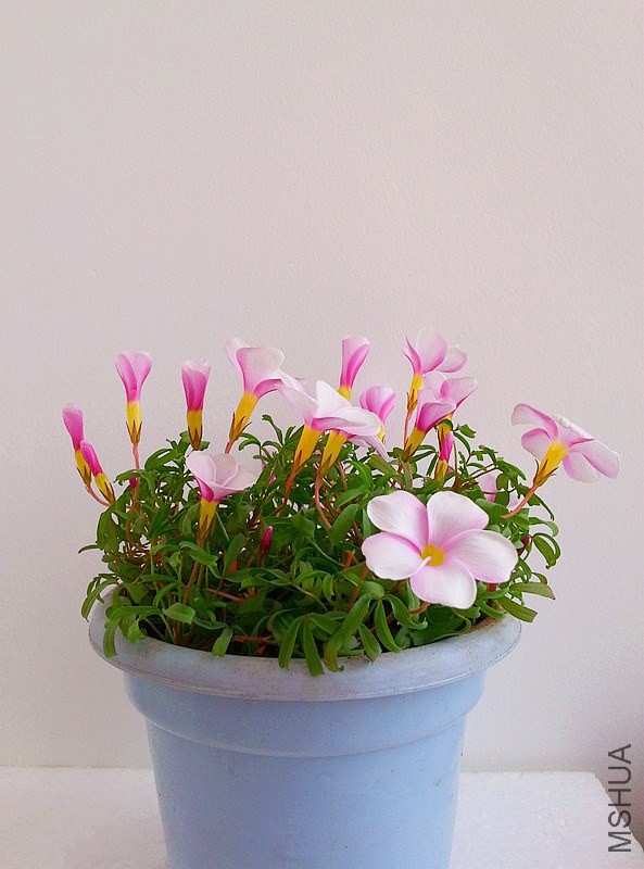 20140116_115357.jpg