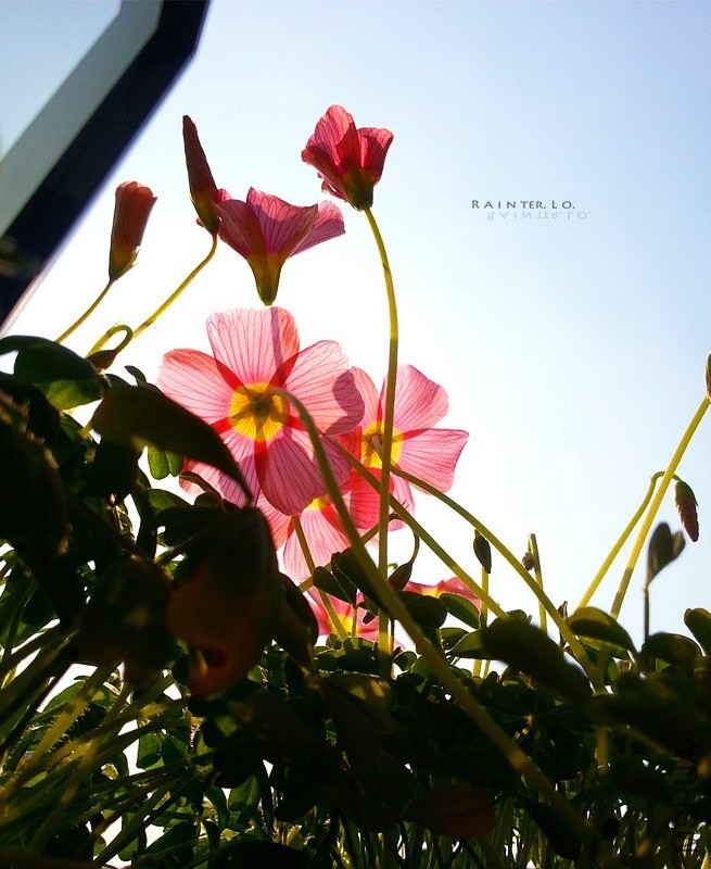 20140115_134125.jpg