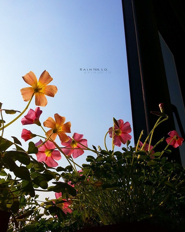20140115_134746.jpg