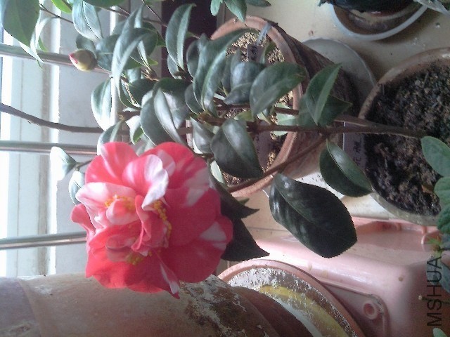 QQͼƬ20140116224909.jpg
