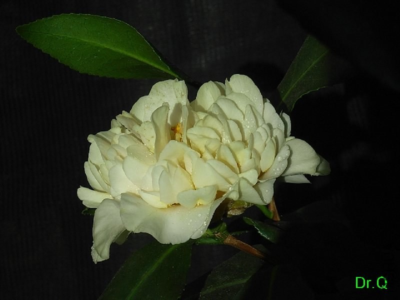 3-�S����z-1.JPG