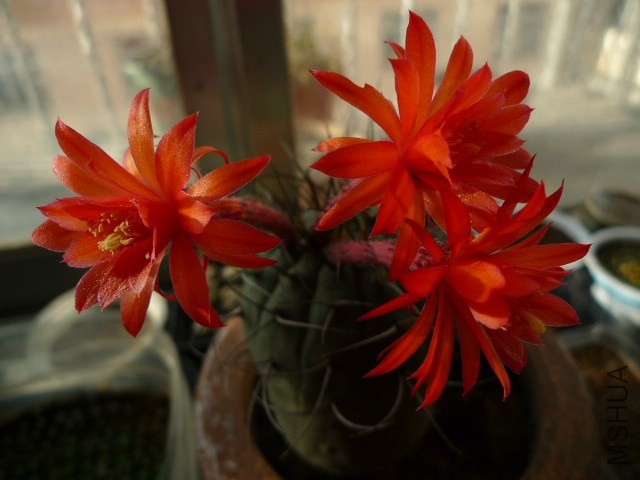 P1090264.JPG