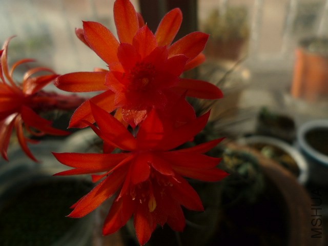P1090266.JPG