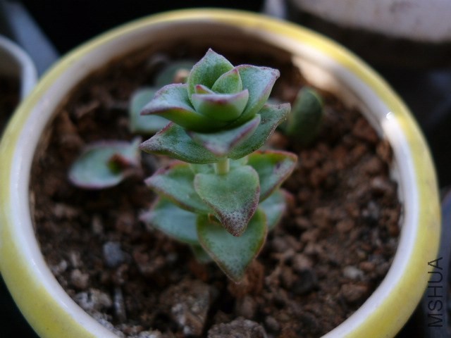 P1090253.JPG