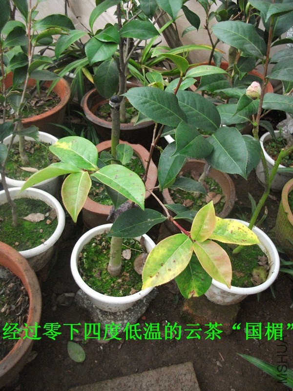 DSCF6979_����.jpg