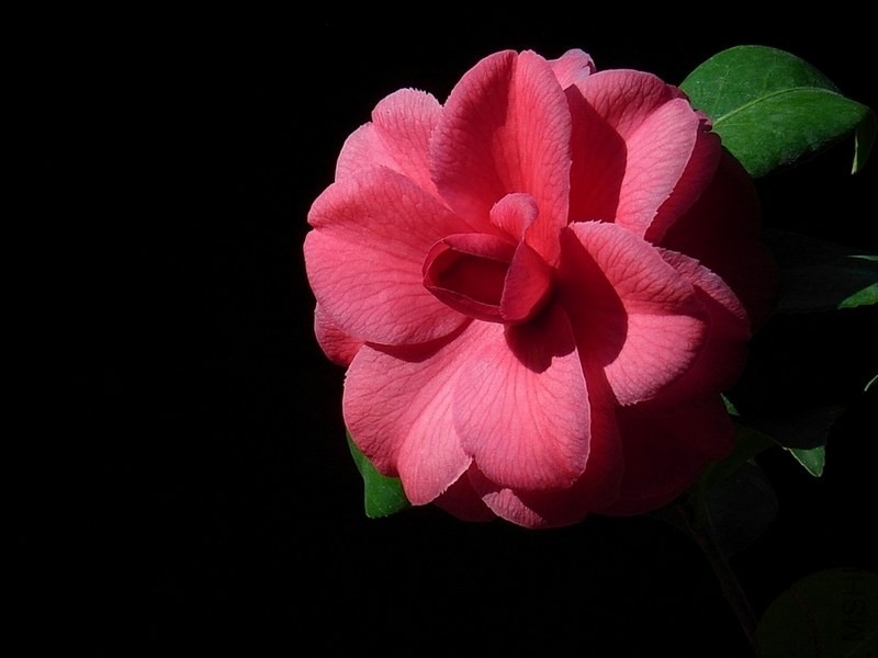 R0011848-.jpg