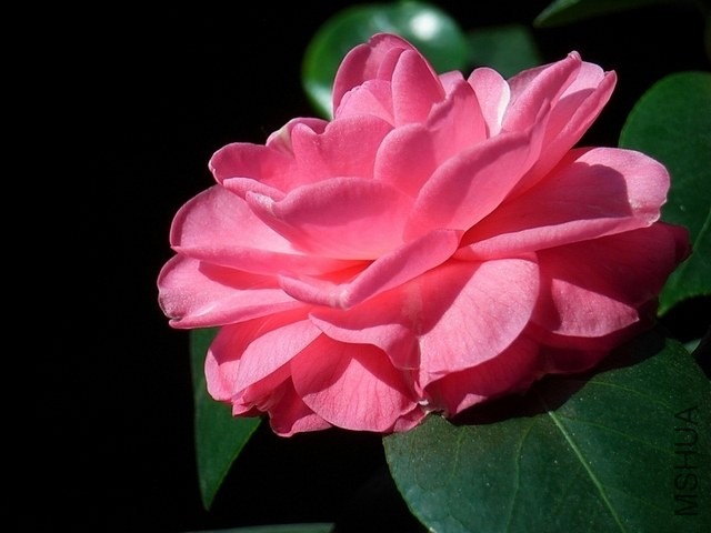 R0011831-.jpg