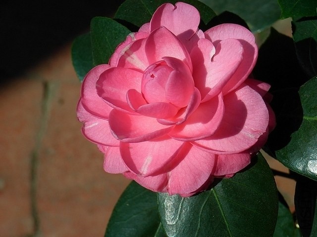 R0011833-.jpg