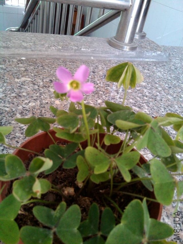 QQͼƬ20140118144005.jpg