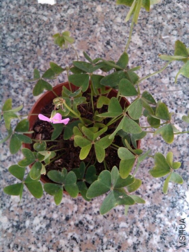QQͼƬ20140118144012.jpg