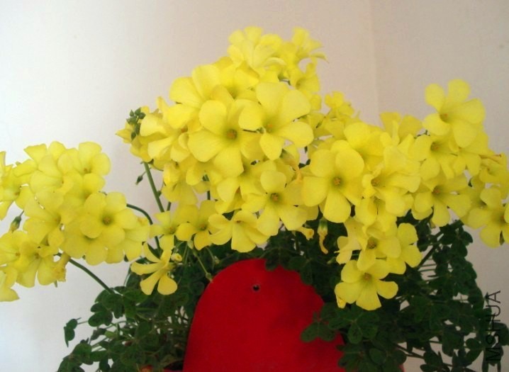 QQͼƬ201401.jpg