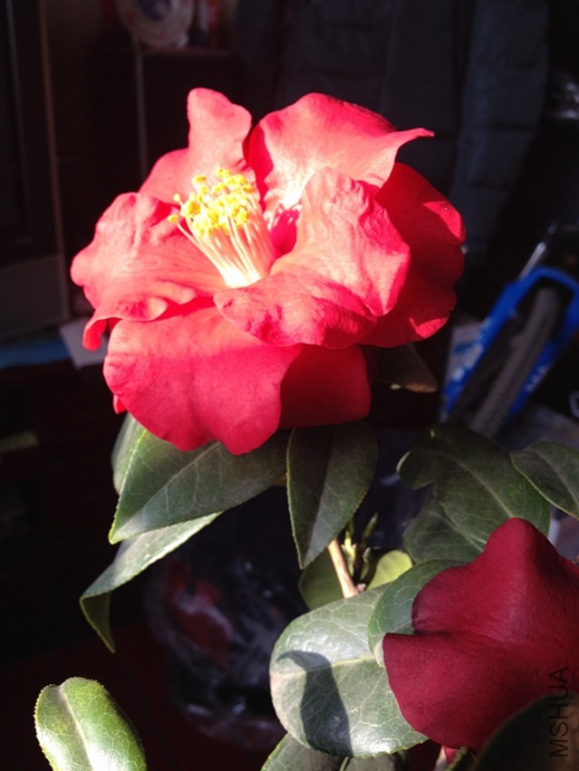 ��Ƭ 009_����.jpg