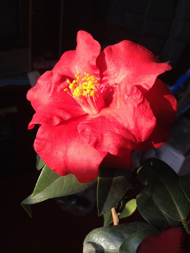 ��Ƭ 010_����.jpg