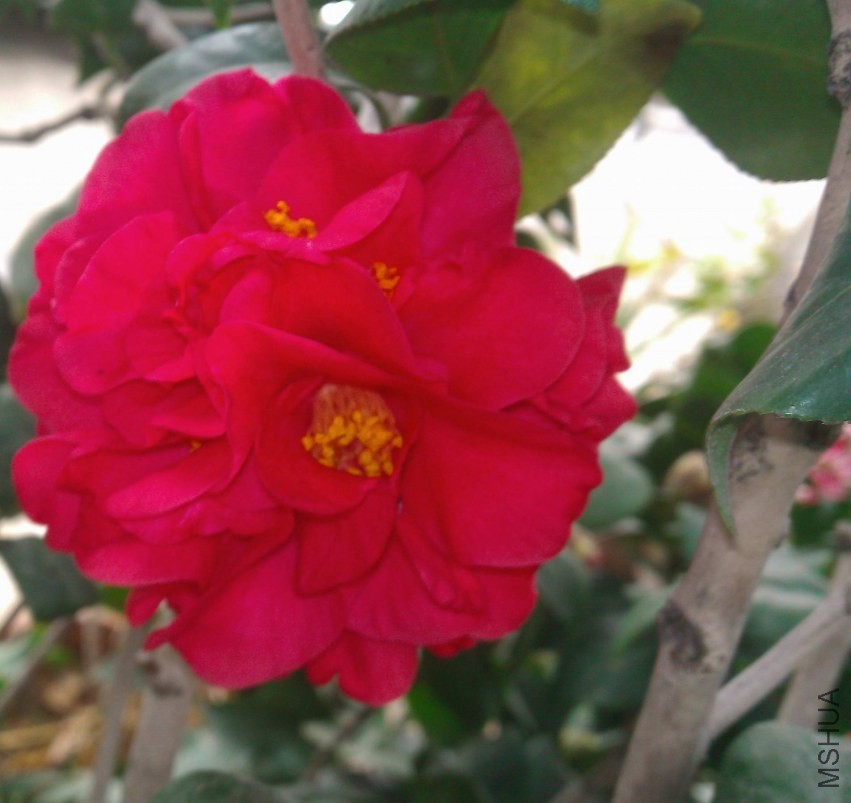 WP_001837.jpg