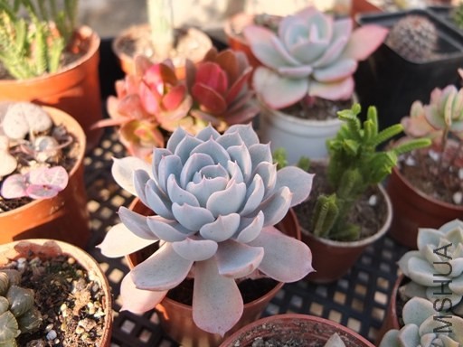��Ƭ 041.jpg